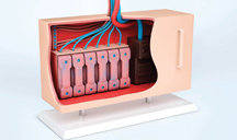 安全无木马的ddos服务器攻击手段